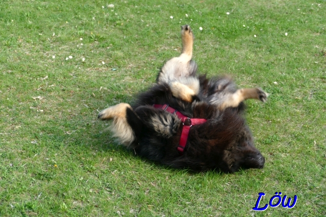 19.4.2025 - und Recken